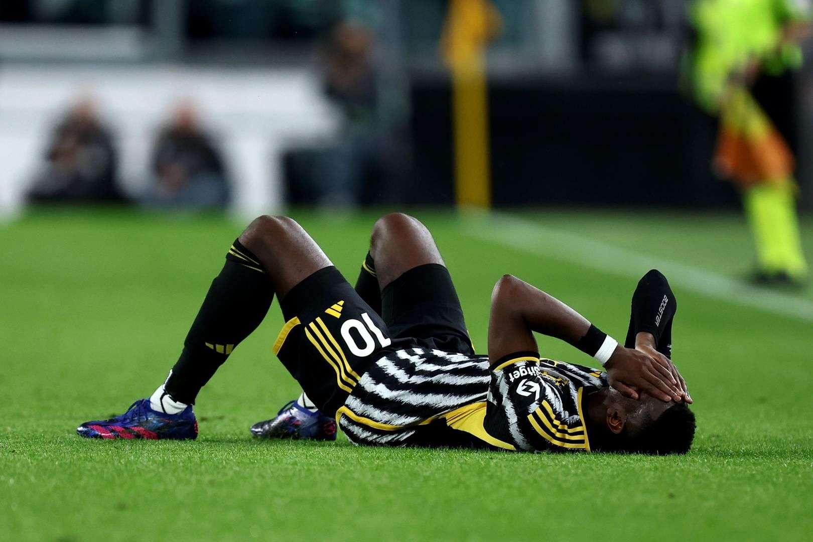 10吨植物油精炼设备